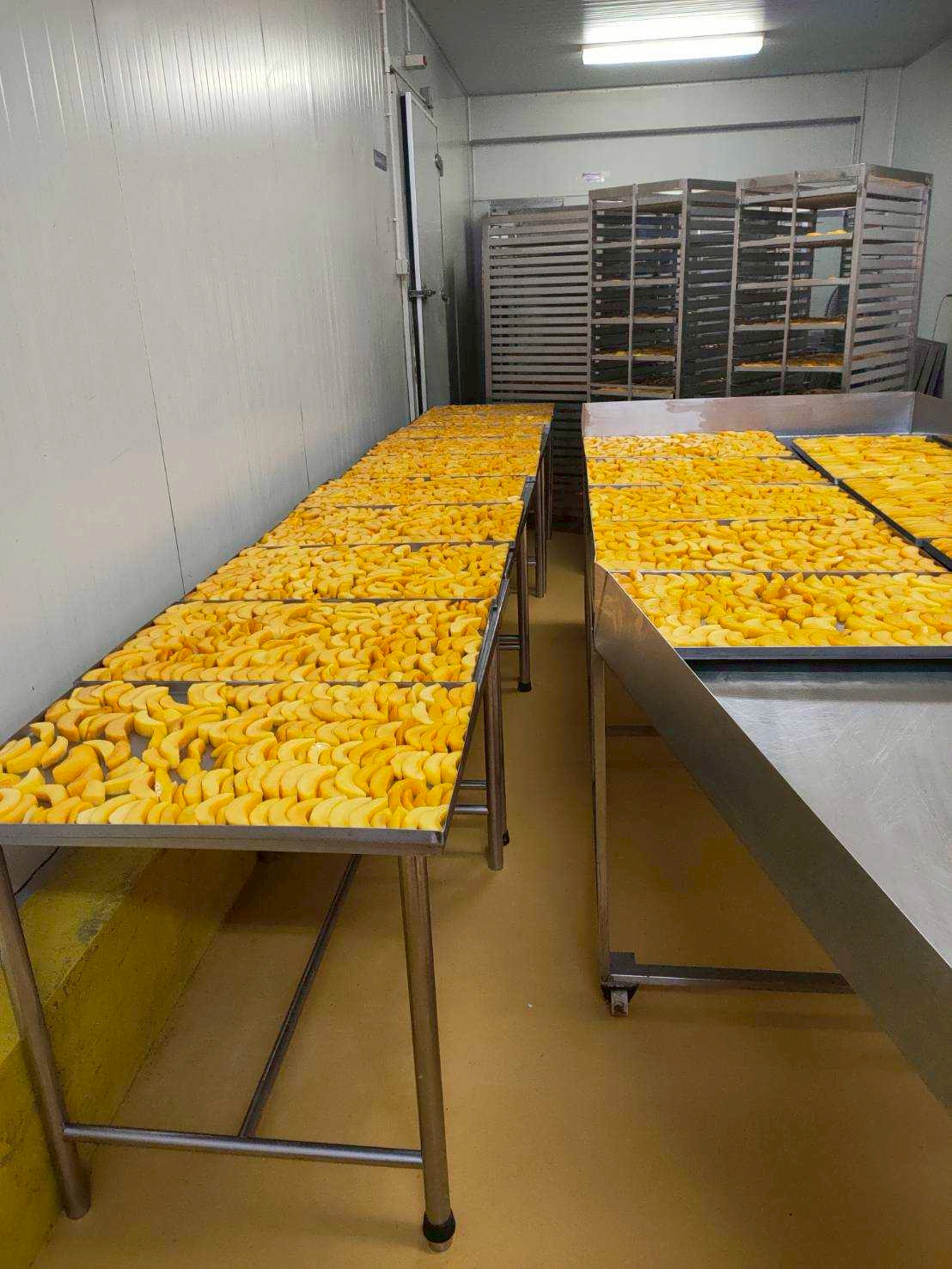 lanna future food 2025